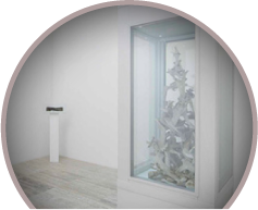 A white room with a growing cabinet
